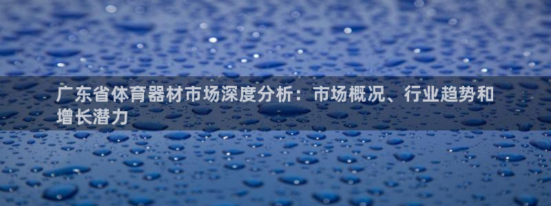 耀世平台代理多少钱一次:广东省体育器材市场深度分析:市场概况