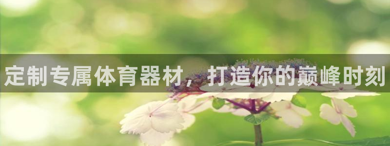 耀世娱乐注册等7O777:定制专属体育器材,打造你的巅峰时刻