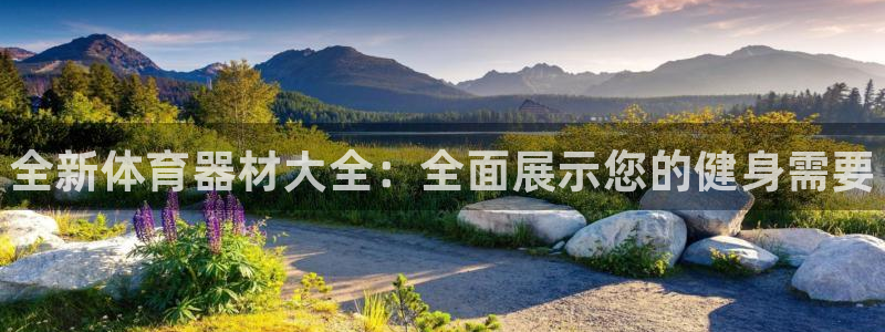 耀世娱乐能不能提现到支付宝:全新体育器材大全:全面展示您的健